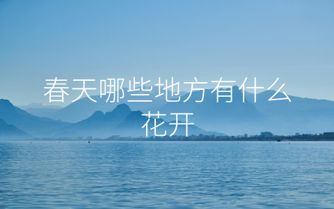 春天哪些地方有什么花开