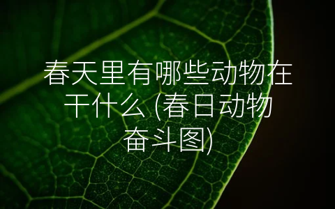 春天里有哪些动物在干什么 (春日动物奋斗图)