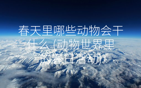 春天里哪些动物会干什么 (动物世界里的春日活动)