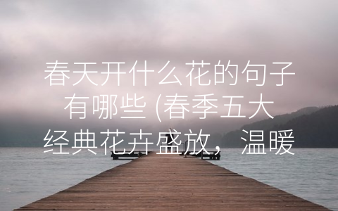 春天开什么花的句子有哪些 (春季五大经典花卉盛放，温暖人心的春日之美)
