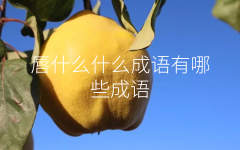 唇什么什么成语有哪些成语