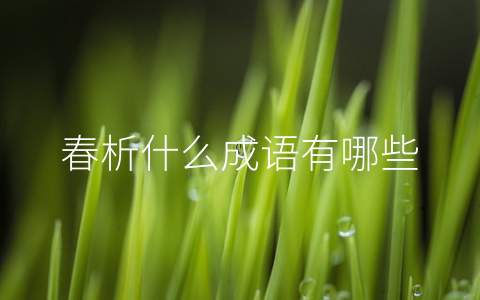 春析什么成语有哪些