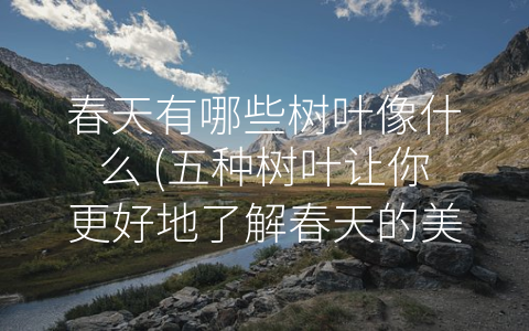 春天有哪些树叶像什么 (五种树叶让你更好地了解春天的美丽和生机)