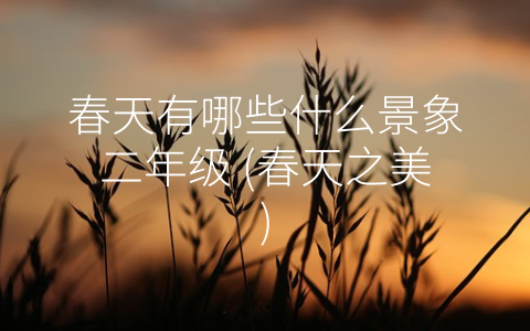 春天有哪些什么景象二年级 (春天之美)