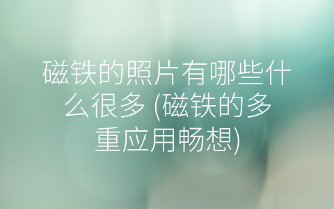 磁铁的照片有哪些什么很多 (磁铁的多重应用畅想)