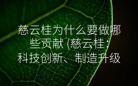 慈云桂为什么要做哪些贡献 (慈云桂：科技创新、制造升级、公益回馈，致力于推动中国的发展！)