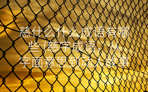 慈什么什么成语有哪些 (慈字成语，从字面意思到动人故事)