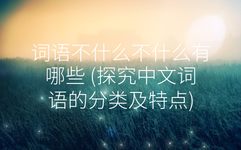 词语不什么不什么有哪些 (探究中文词语的分类及特点)