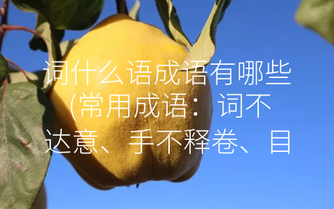 词什么语成语有哪些 (常用成语：词不达意、手不释卷、目不转睛、息息相关、津津有味、不可救药、无可厚非、空前绝后。)