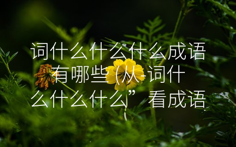 词什么什么什么成语有哪些 (从-词什么什么什么”看成语的实际应用与学习价值)