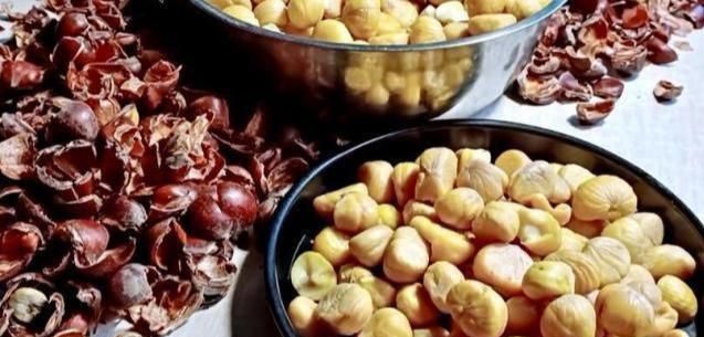 板栗怎么好剥壳又可以保存,板栗要怎样才好剥壳图5