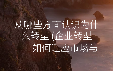 从哪些方面认识为什么转型 (企业转型——如何适应市场与变革)