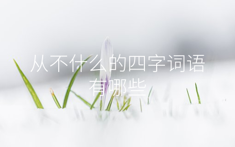 从不什么的四字词语有哪些