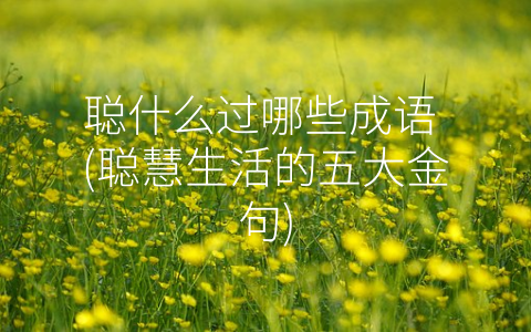 聪什么过哪些成语 (聪慧生活的五大金句)