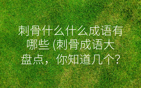 刺骨什么什么成语有哪些 (刺骨成语大盘点，你知道几个？)