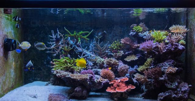 新手如何准备考研