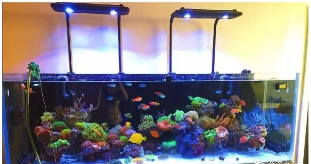 新手如何准备考研图5