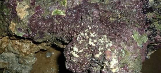 新手如何准备考研图6