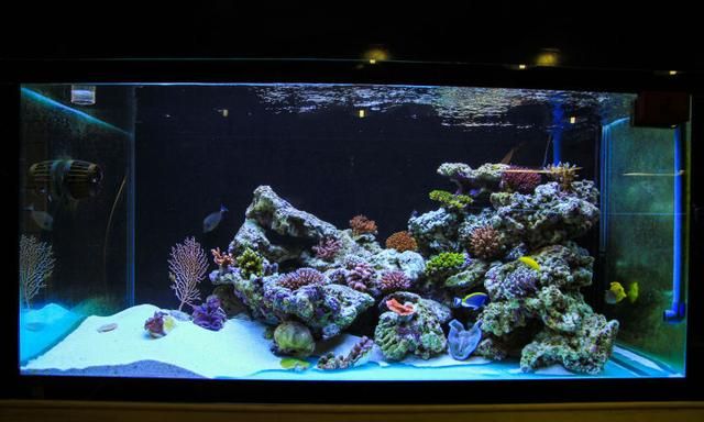 新手如何准备考研图7