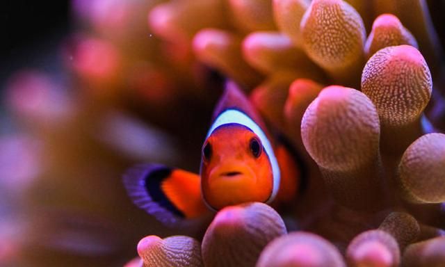 新手如何准备考研图8