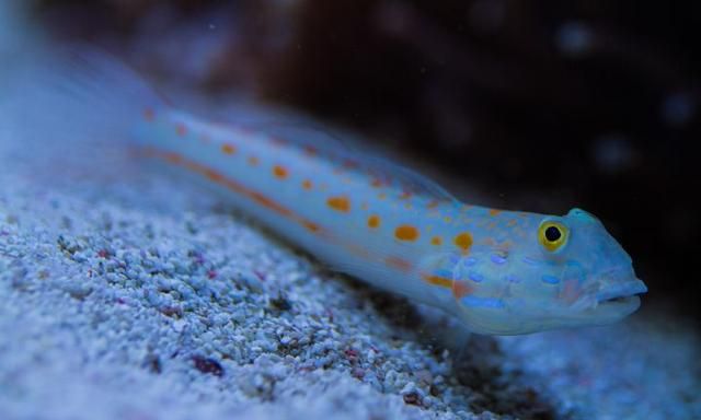 新手如何准备考研图10