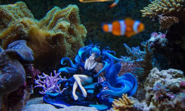 新手如何准备考研图11