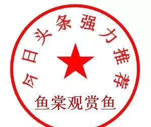 新手如何准备考研图12