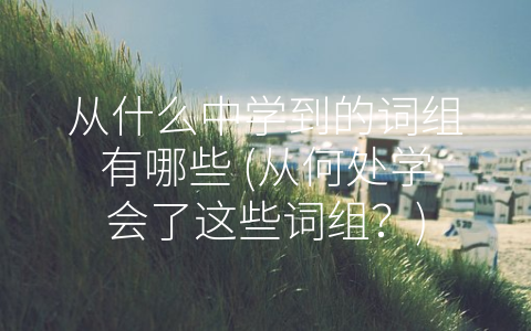 从什么中学到的词组有哪些 (从何处学会了这些词组？)