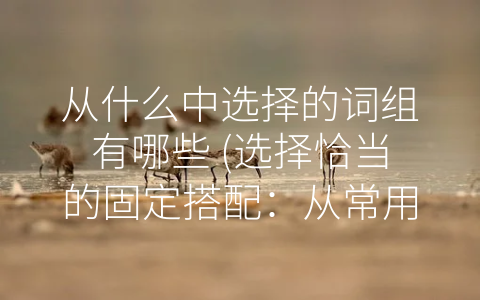 从什么中选择的词组有哪些 (选择恰当的固定搭配：从常用度、流行度、语境、文化背景等多个方面考虑)
