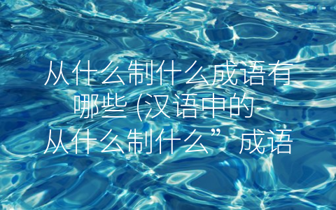 从什么制什么成语有哪些 (汉语中的-从什么制什么”成语及其社会意义)