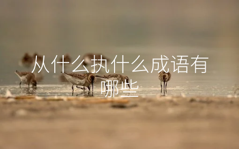 从什么执什么成语有哪些
