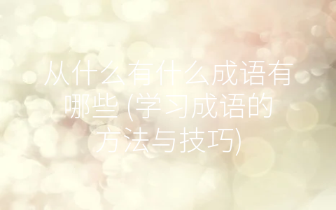 从什么有什么成语有哪些 (学习成语的方法与技巧)