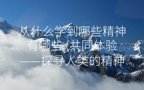 从什么学到哪些精神有哪些 (共同体验——探寻人类的精神归属。)
