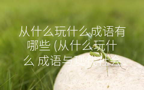 从什么玩什么成语有哪些 (从什么玩什么 成语与现代社会相关性探究)