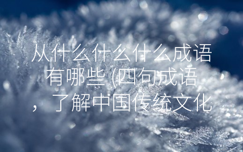 从什么什么什么成语有哪些 (四句成语，了解中国传统文化。)
