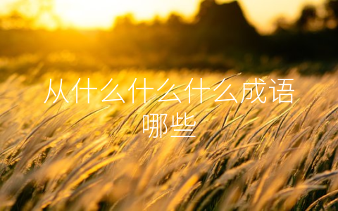 从什么什么什么成语哪些