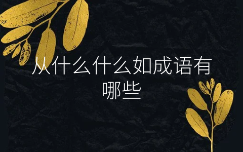 从什么什么如成语有哪些