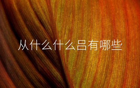 从什么什么吕有哪些