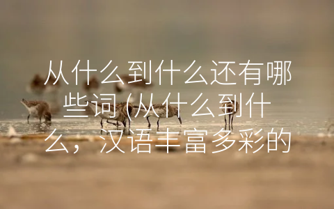 从什么到什么还有哪些词 (从什么到什么，汉语丰富多彩的表达方式)