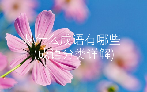 从什么成语有哪些 (成语分类详解)
