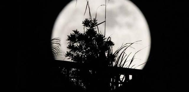 距离地球最近的是哪个星球 地球最近哪个星球离我们地球最近