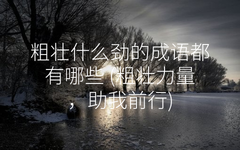 粗壮什么劲的成语都有哪些 (粗壮力量，助我前行)