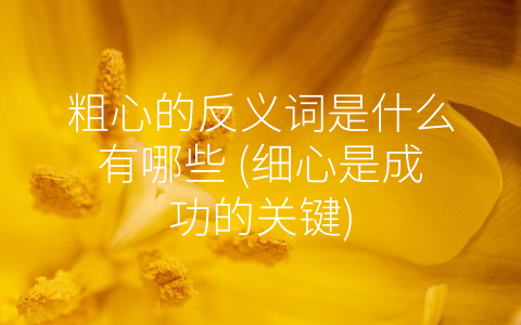 粗心的反义词是什么有哪些 (细心是成功的关键)