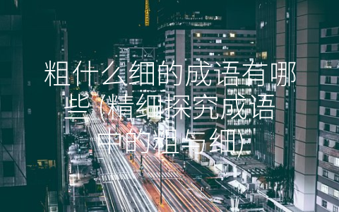 粗什么细的成语有哪些 (精细探究成语中的粗与细)