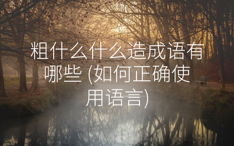 粗什么什么造成语有哪些 (如何正确使用语言)