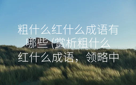 粗什么红什么成语有哪些 (赏析粗什么红什么成语，领略中华文化的博大精深)
