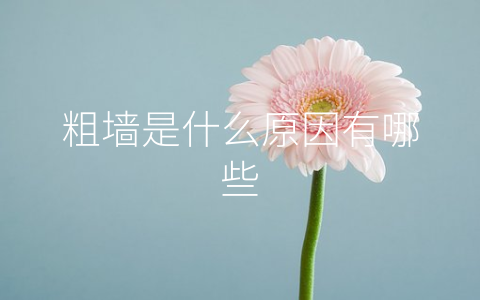 粗墙是什么原因有哪些