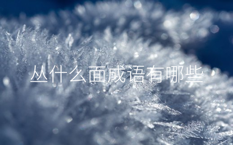 丛什么面成语有哪些