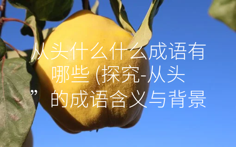 从头什么什么成语有哪些 (探究-从头”的成语含义与背景)