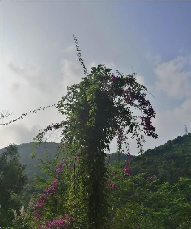 50组最容易混淆的常用词